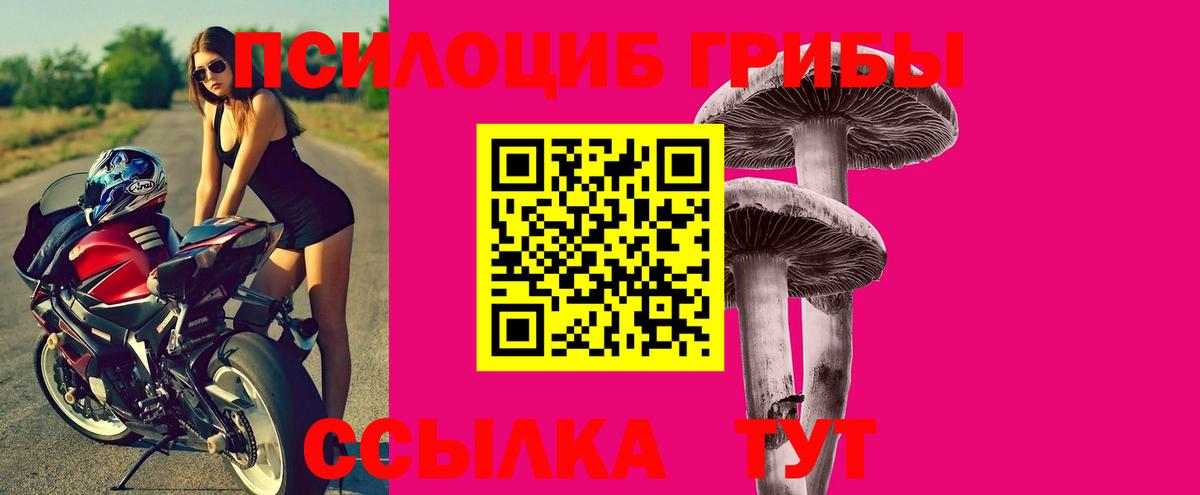 Галлюциногенные грибы GOLDEN TEACHER  Псилоцибиновые грибы MAGIC MUSHROOMS  Вход с VPN  Уварово 